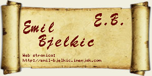 Emil Bjelkić vizit kartica